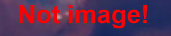 显示
